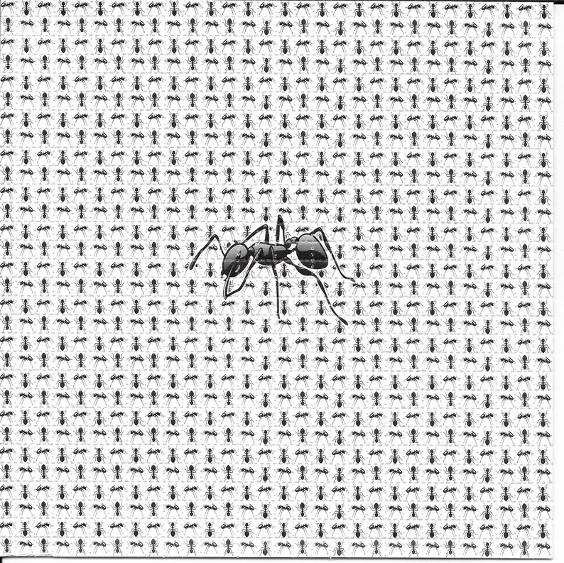 Ants Animal Psychedelic LSD Ac - Ink Blotter Paper recensie en prijs